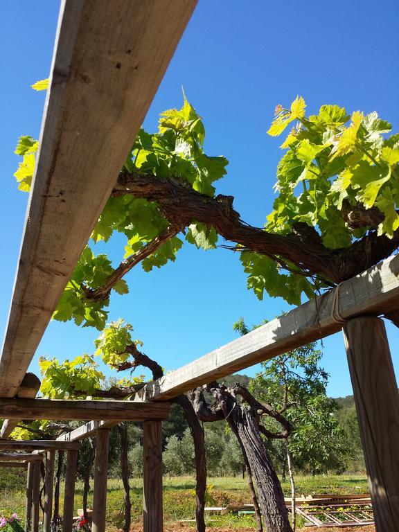 Agroturismo Ca Na Joaneta Santa Eularia des Riu Buitenkant foto